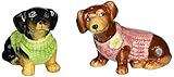 Westland Giftware Magnetic Ceramic Salt and Pepper Shaker Set, Dachshund Sweaters, Multicolor