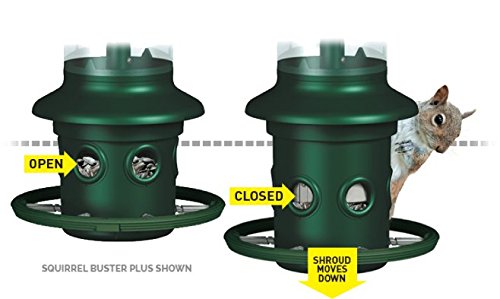 Brome Squirrel Buster Plus Squirrel Proof Bird Feeder with Pole and WeatherGuard Baffle