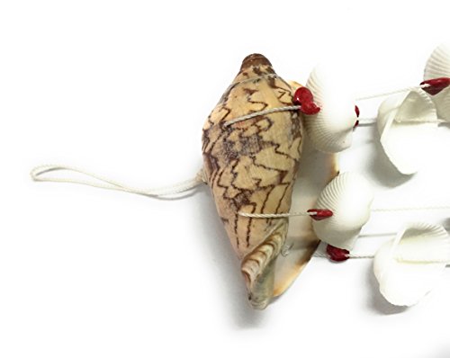 WD-Beautiful Seashell Wind chime Nautical Hanging - Noly shell top for room door window 19 inch