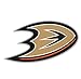 Anaheim Ducks NHL car bumper sticker decal (6