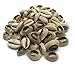 Authentic Cowrie Shells For Necklace, Choker, Bracelets, Earrings, Ring, Hair And African Inspired Fashion Jewelry Instead Of Beads. Smooth Cut-Back Edges. 120 Pieces