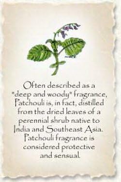 Clavo Huasca 10:1 Standardized Extract