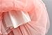 Niyage Little Girls Sleeveless Floral Princess Dress Tulle Tutu Sundress 4T Pink