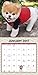 Boo Mini Wall Calendar (2017)