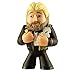 Funko Mystery Minis Vinyl Figure - WWE Series 2 - TED DIBIASE (Million Dollar Man)