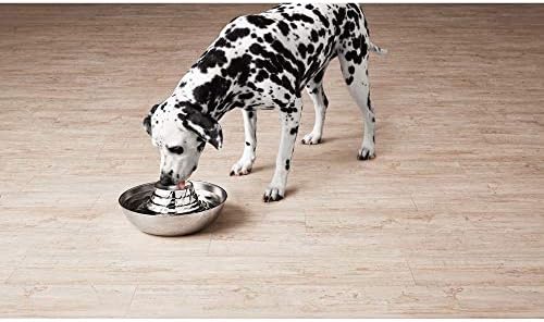 harmony pet fountain