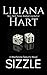 Sizzle (MacKenzie Security Book 5)
