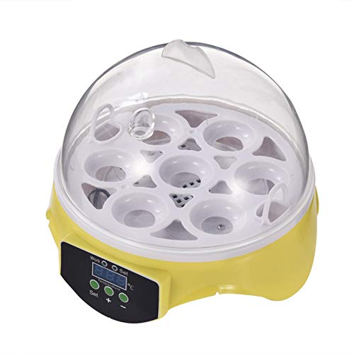 Eier Mini Digital Inkubator Vollautomatische Brutmaschine Brutkasten Temperatur Und Feuchtigkeitsregulierung… – Bild 6