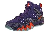 Nike Barkley Posite Max Mens basketball shoes Model 555097 301