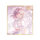 『プロジェクトセカイ カラフルステージ! feat. 初音ミク』ミニ色紙コレクション 第53弾A BOX 傷だらけの手で、私達は(全9種)