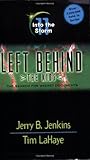 Into the Storm (Left Behind: The Kids #11)