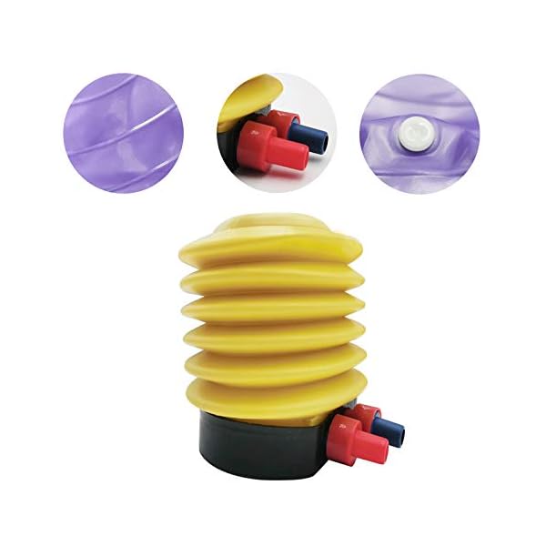 TheStriven-Yoga-Doughnut-ball-with-Pump-Exercise-Ball-Anti-Burst-Yoga-Ball-Fitness-Donut-Ball-Gym-Equipment-Fitness-at-Home-for-Yoga-Pilates-Core-Training-Balance-Training-Ball-with-Pump-50cm-X-28cm TheStriven Yoga Doughnut ball with Pump Exercise Ball Anti-Burst Yoga Ball Fitness Donut Ball Gym Equipment Fitness at…