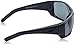 ARNETTE AN4215-41/81 SUNGLASSES BLACK | POLAR GRAY 66MM