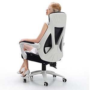 Amazon.com: Hbada Ergonomic Office Chair - High Back ...