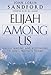Elijah Among Us: Understanding and Responding to God's Prophets Today by John Loren Sandford