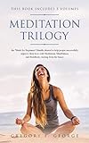 Meditation Trilogy: the