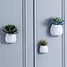 6 inch Wall Mounted Ceramic Planters Flower Plant Vase, Hanging Planters, Succulent Plant Pots, White,3PCS
