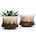 Greenaholics Succulent Plant Pots - 4.3 Inch Flowing Glaze Ceramic Bottle Pots, Cactus Planters, Flower Pots with Drainage Hole, Chocolate Black, Set of 2