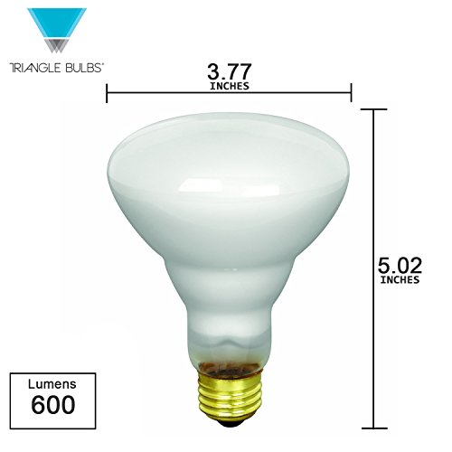 Triangle Bulbs T20829, 65-Watt Incandescent BR30 Flood Light Bulbs, 6-PACK