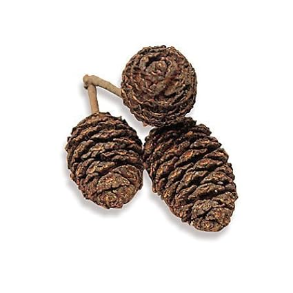 Dekomaterial 'Erlenzapfen' im Beutel (35 g / natur)