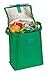 Eunichara Basic Cooler Lunch Bag Foldable with Thermal Insulated Lining Reusable (Cooler/Warmer) - Forest Green