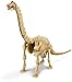 4M Kidz Labs Dig A Dino Skeleton Brachiosaurus