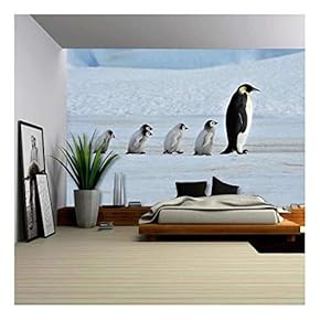 Emperor Penguin with Chicks Snow Hill, Antarctica 2010 on The Icebreaker Kapitan Khlebnikov - Removable Wall Mural | Self-Adhesive Large Wallpaper - 66x96 inches