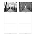 The Best Card Company - Box of 10 All Occasion Cards Blank (4 x 5.12 Inch) - Scenic Landscape Cards Assorted - Tree Lines M3313-NB
