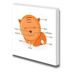 Cute Illustration of Cat Vocabulary Part of Kitten Body Great for Baby Kids Children Room Bedroom - Canvas Art Wall Art - 12" x 12"