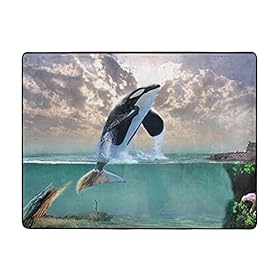 Lzhengsi Super Soft Modern Carpet Killer Whale Print Area Rug Living Room Carpet Bedroom Rug Yoga Mat Easy to Clean for… 41%2BmrX9YoZS