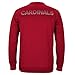 NCAA Men's Sideline Post Climawarm Team Issue Crew Sweatshirt