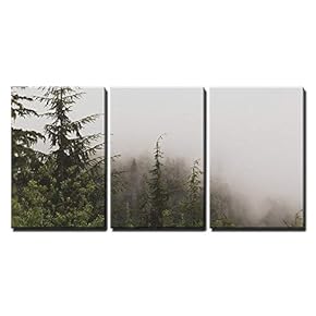Pine Tree Forest on a Foggy Day x3 Panels
