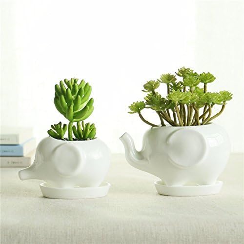 SPARIK ENJOY Ceramic Flower Pot 2 Styles Elephant Succulent Planter Cactus Succulent Plants Flower Cute White Pot (Two Elephant)