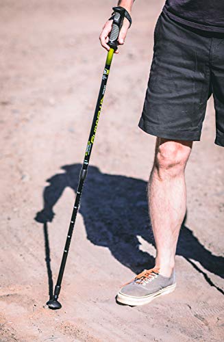 image for Brazos Trekking Poles: Collapsible Hiking/Walking Stick with Integrate