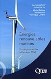 Energies renouvelables marines : Etude prospective à l'horizon 2030 by 