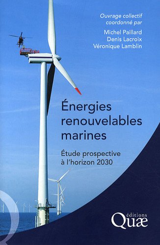 Energies renouvelables marines : Etude prospective à l'horizon 2030 by Michel Paillard, Denis Lacroix, Véronique Lamblin