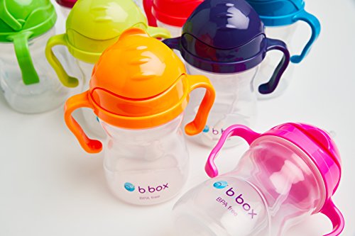 b.box Sippy Cup Replacement Straws and Cleaner | Includes 2 Straws and 1 Cleaner | BPA-Free | Phthalates & PVC Free | Dishwasher Safe