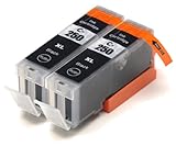 2 Pack Compatible Canon PGI-250 , CLI-251, Canon 251, Canon 250 2 Big Black for use with Canon PIXMA iP7220, PIXMA MG5420, PIXMA MG5422, PIXMA MG6320, PIXMA MX722, PIXMA MX922. Ink Cartridges for inkjet printers. PGI-250BK Blake Printing Supply