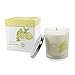 Natural Scented Candle with Organic Oil, Aromatheraphy Candle with Pure Essential Oil, Smokeless Candle, Huge Size Scented Candle (9oz/250g). (Lemon)