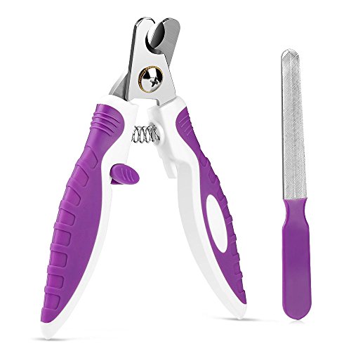 Top 5 Best Dog Clippers for Golden Retrievers in 2019 DogStruggles