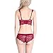 Bluewhalebaby Women's Sexy Push Up Embroidery Lace Bra and Panties Lingerie Set (Suspender Garter Belt & Stockings Optional)
