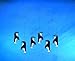 Flensted Mobiles Penguin In Tails Hanging Nursery Mobile - 18 Inches Plastic