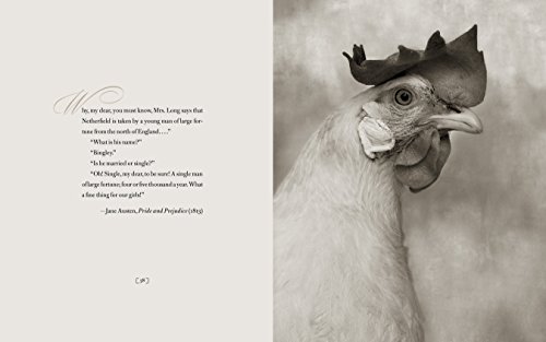 Literary Chickens