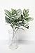 Sweet Home Deco Artificial Leaf Bush Small Size Bush DIY Craft Greenery Set of 3 (Flocked Lamb's Ear)