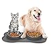 Double Dog Cat Bowls 2 Stainless Steel with No Spill Non-Skid Silicone Mat, Pet Food Water Feeder Bowl for Small Medium Large Dogs, Puppies, and Pets