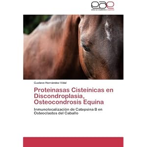 Proteinasas Cisteínicas en Discondroplasia, Osteocondrosis Equina: Inmunolocalización de Catepsina B en Osteoclastos del Caballo (Spanish Edition)