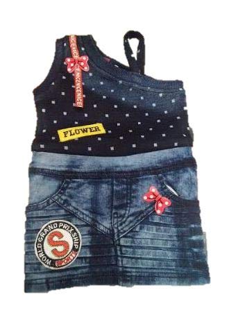 Priyadarshani Girl S One Piece Dress Regular Fit Casual Top With Denim Skirt For 9 12 Months Kids Blue Amazon In Clothing Accessories