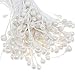 Tinksky Pearl Stamens Floral Stamens Flower Stamens Buds for Flower Making -170pcs (White)