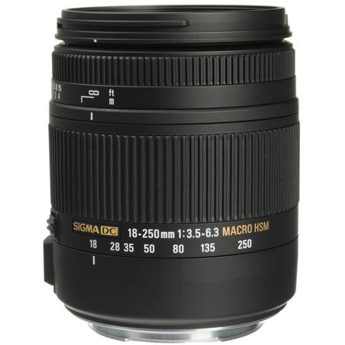 Sigma 18-250mm f3.5-6.3 DC MACRO OS HSM for Canon Digital SLR Cameras