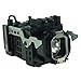 FI Lamps Replacement Lamp for Sony XL-2400 with Housing
